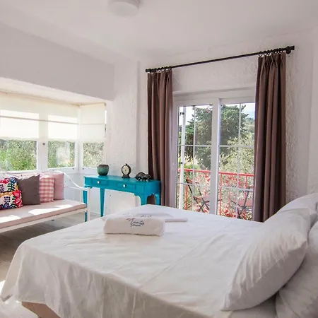 لي فنت ألكاتي