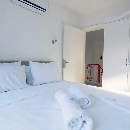 لي فنت ألكاتي