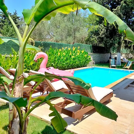 莱温特阿拉卡提酒店